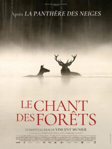 le chant des forets