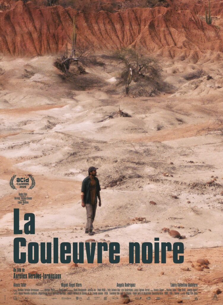 film festival cinéma 2026