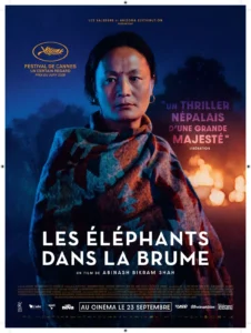 les elephants dans la brume bis