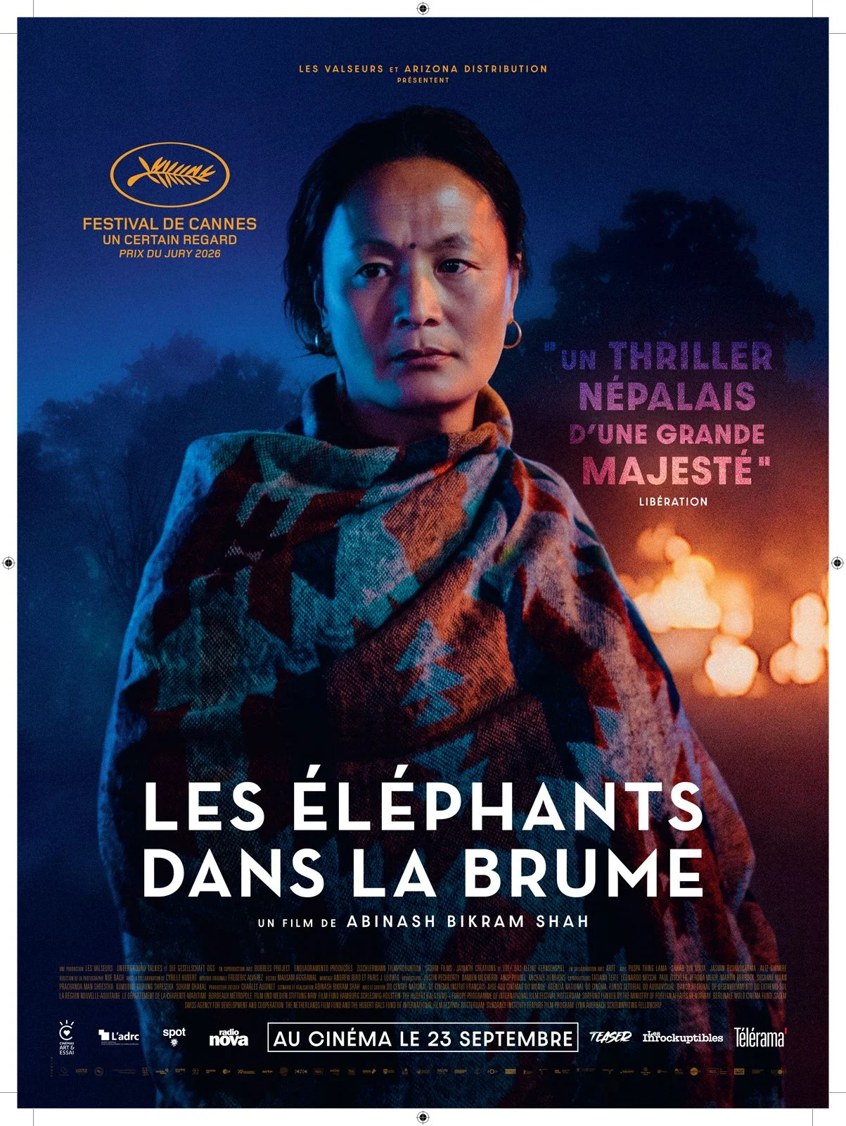 les elephants dans la brume bis